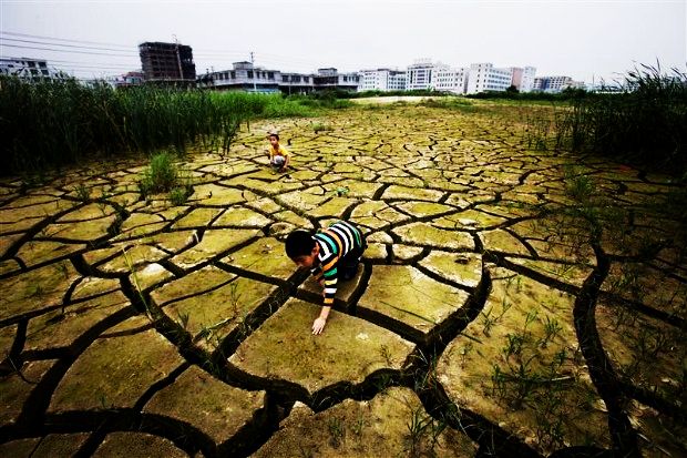 Abandoned Field in Guangdong Province