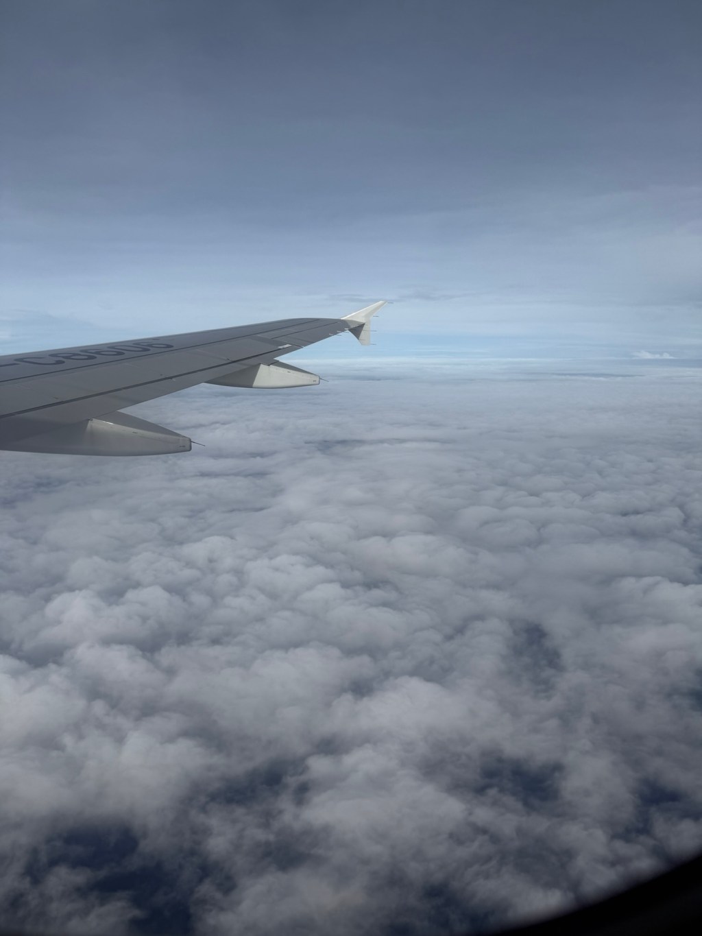 Short Bacolod Work&nbsp;Trip